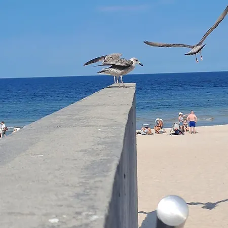 Morska Przystan - Meeresparadies Nadmorskie Tarasy D 217 * Kołobrzeg